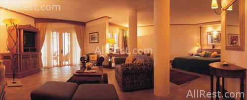 Royal Palm 14